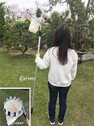水果摘果器